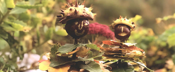 Conker People - The Den Kit Co.