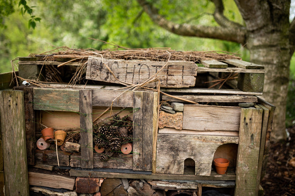 Bug Hotel