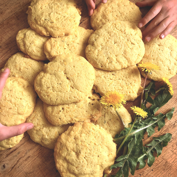 Dandelion Biscuits - Fun to make and wonderfully light to eat