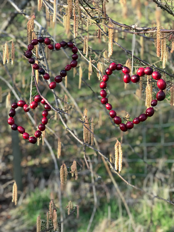 Cranberry Heart Feeders