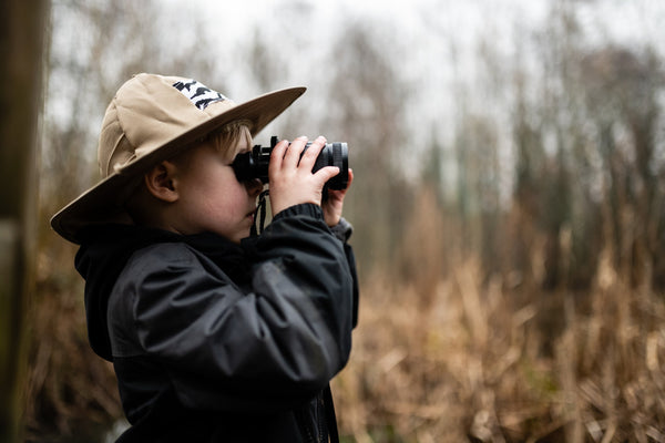 Nesting Season in the UK: How Children Can Learn About Birds and Respect Their Nests