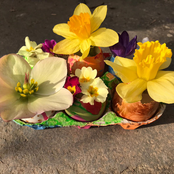 Spring flowers arrangement in egg shells
