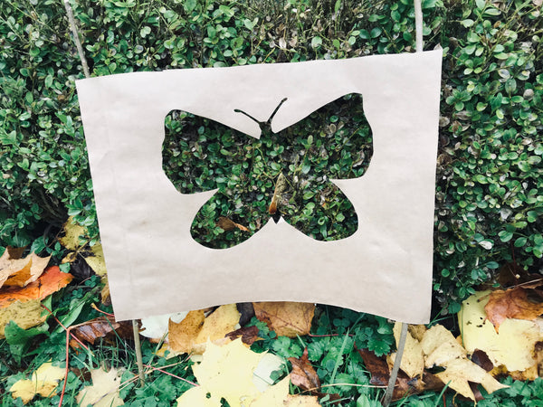 Paper cutout of butterfly image with box hedging behind