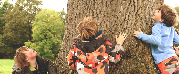 Children playing outside around a giant tree