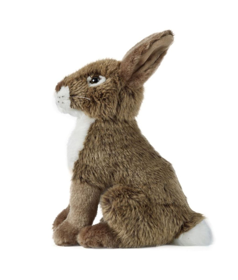 Hare Plush Toy