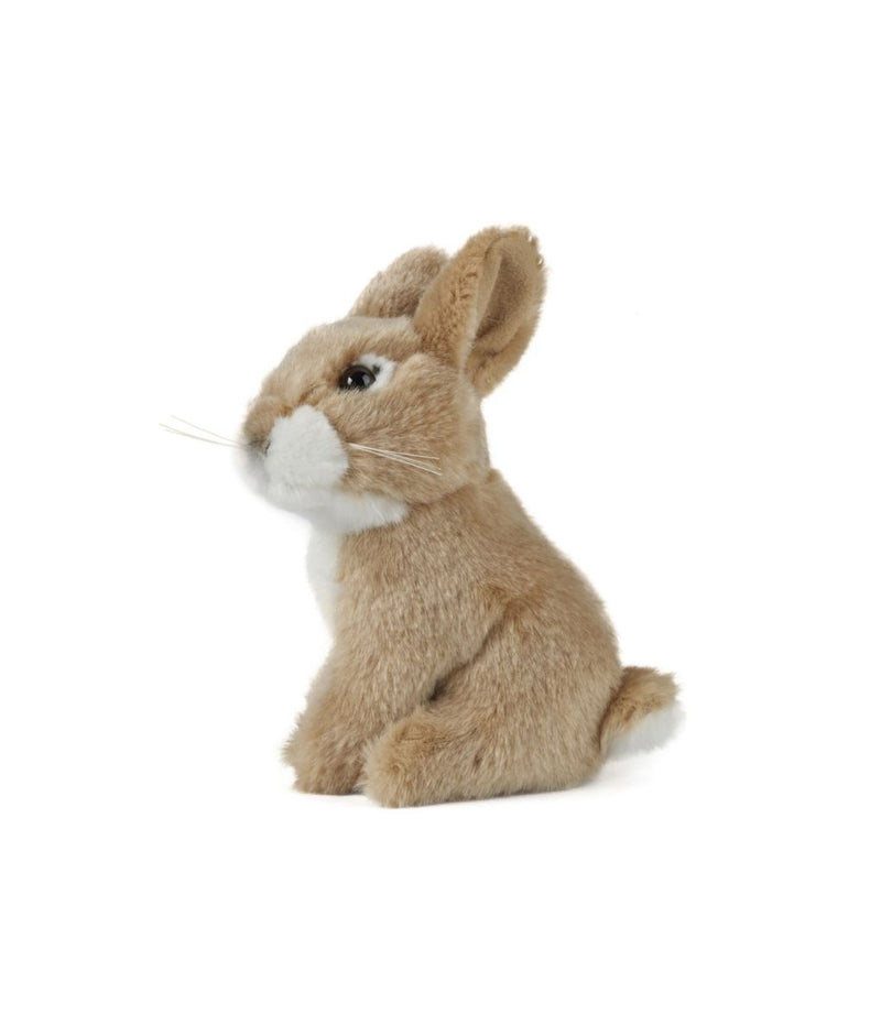 Baby Rabbit Plush Toy