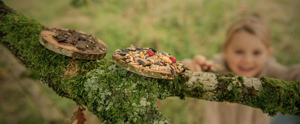 child placing a wooden disc with seed on into a tree