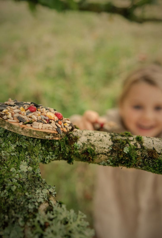 child placing a wooden disc with seed on into a tree