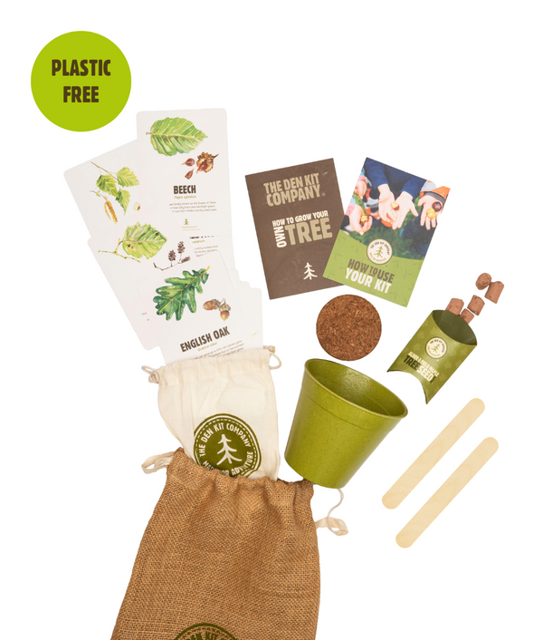 The Grow Your Own British Tree Kit