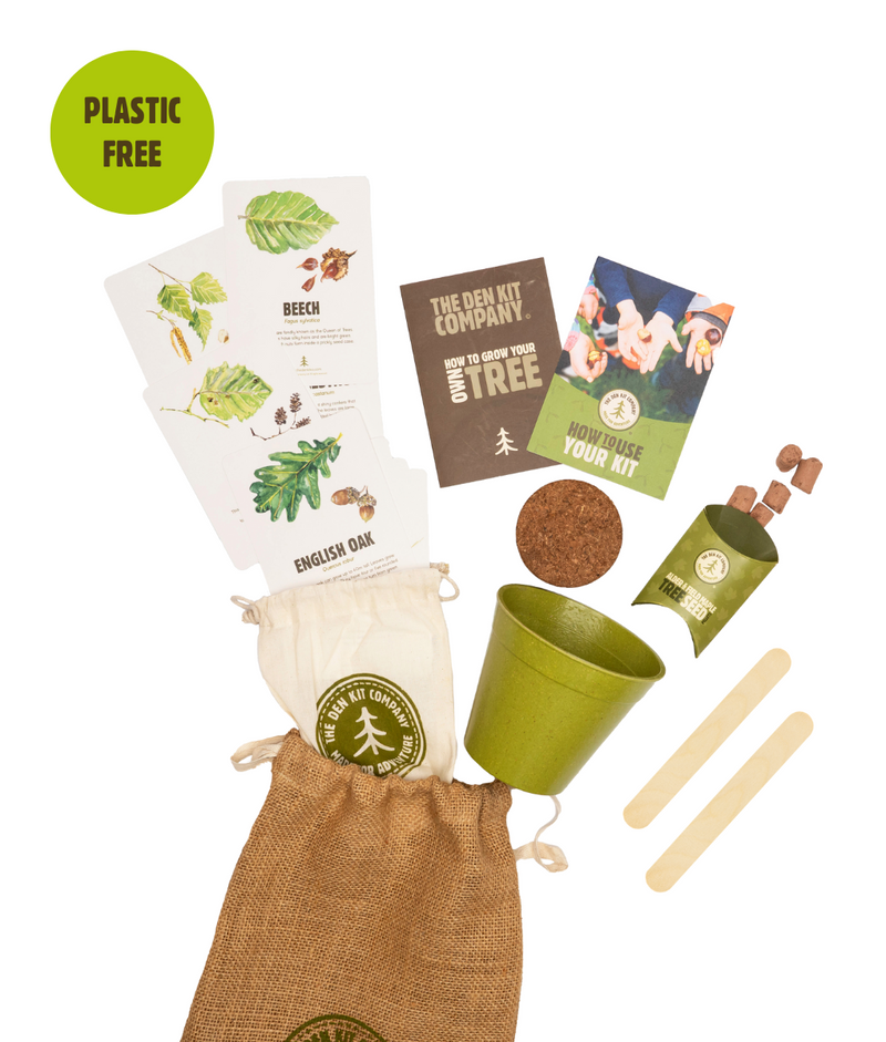 Tree Sample Kit The Grow Your Own British Tree Kit - The Den Kit Co.