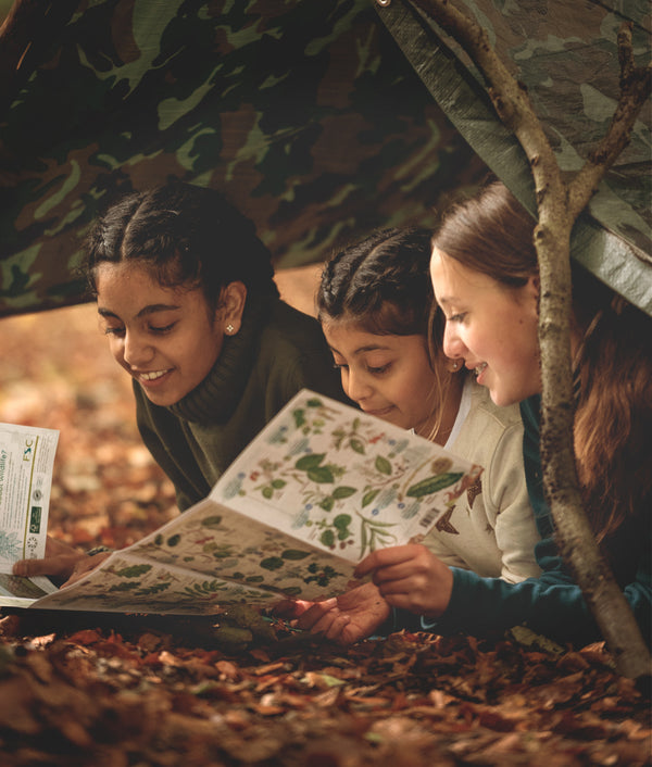 The British Woodland Den Kit’s beautifully illustrated Tree Identification Guide