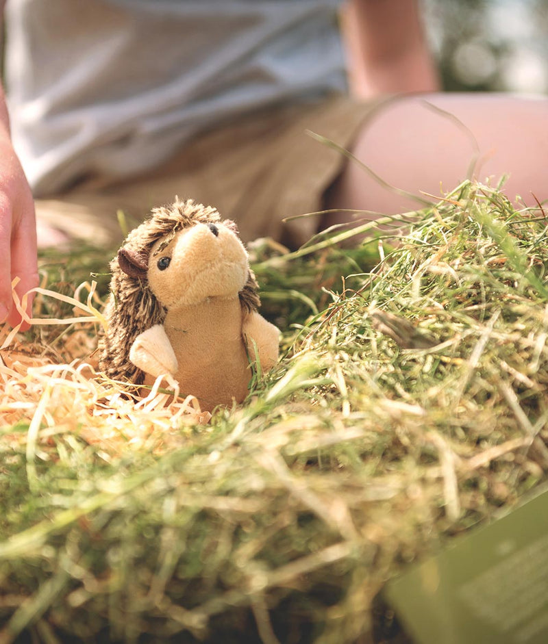Hedgehog Cuddly Toy – The Den Kit